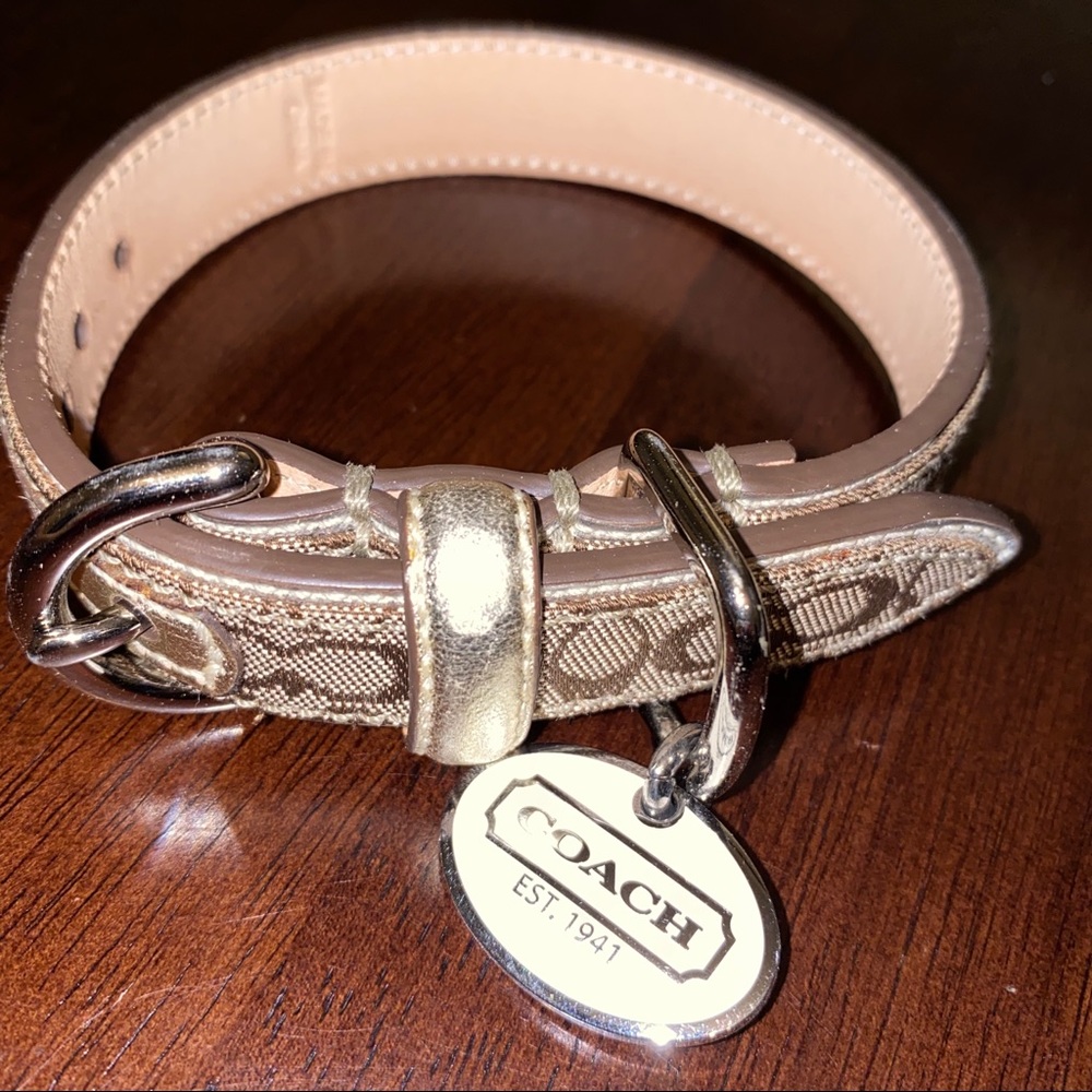Coach Metallic Dog Collar